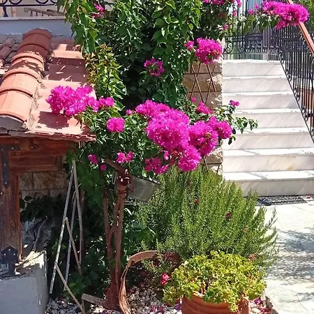 Διαμέρισμα Lena's Family *